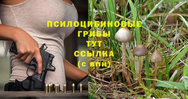 героин Белокуриха
