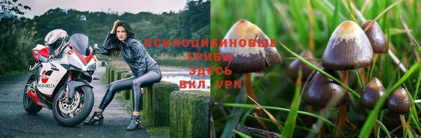 спайс Беломорск
