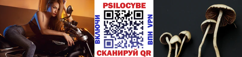 дарнет шоп  Пикалёво  Галлюциногенные грибы MAGIC MUSHROOMS 