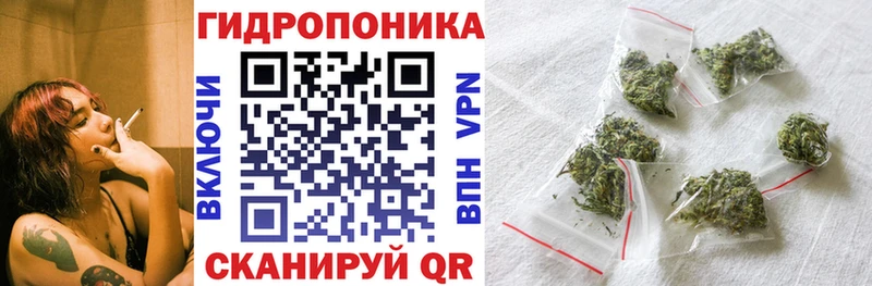 закладка  Пикалёво  площадка какой сайт  Канабис марихуана 